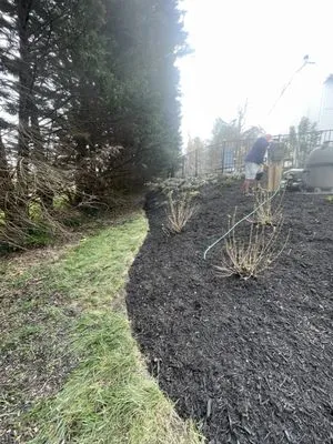 Jenkins Lawn Care Service