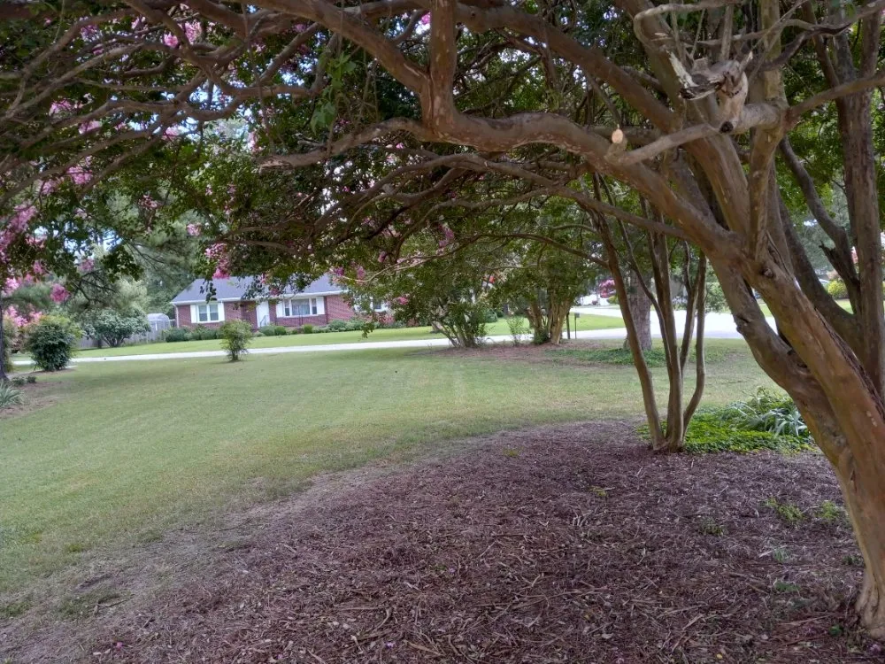 Local outdoor landscaping in Smithfield, VA by Jenkins Lawncare