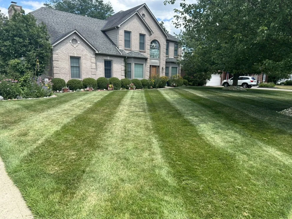 Reliable yard cleanup service experts serving Williamsburg, OH - Jenkins Lawns & Landscaping