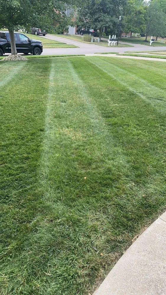 Reliable outdoor landscaping for beautiful yards in Williamsburg, OH by Jenkins Lawns & Landscaping