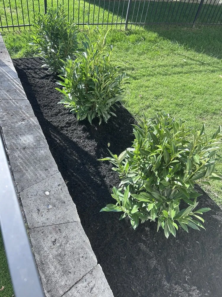 Trusted lawn mowing service in Mount Juliet, TN by Jenkins Nursery & Landscaping