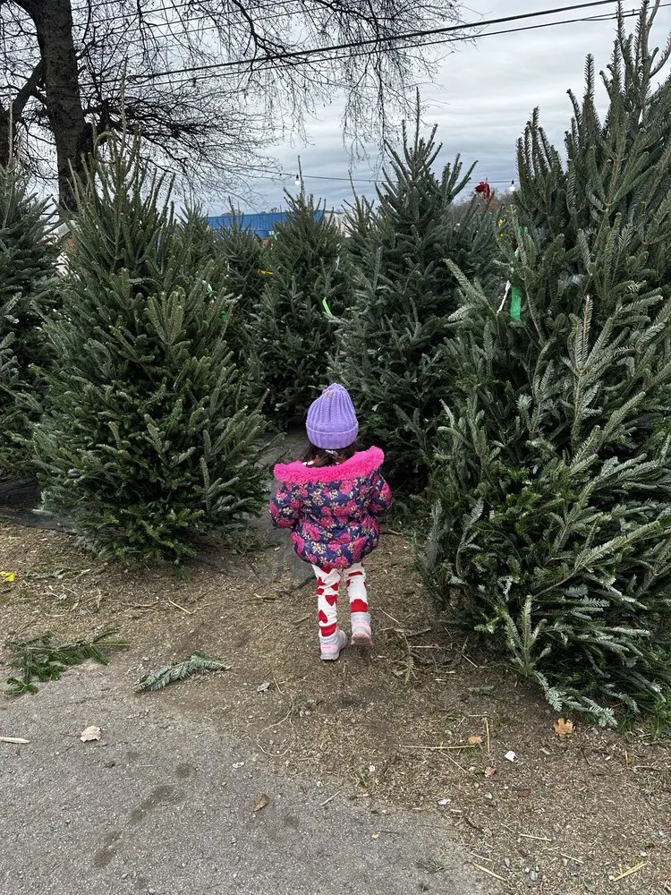 Trusted residential landscaping with custom design across Mount Juliet, TN - Jenkins Nursery & Landscaping