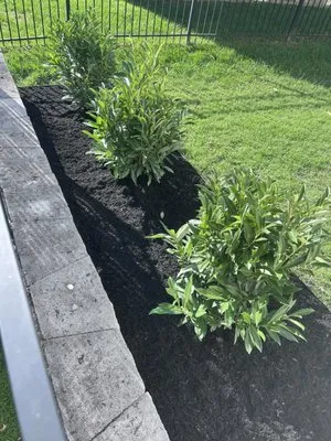 Jenkins Nursery & Landscaping