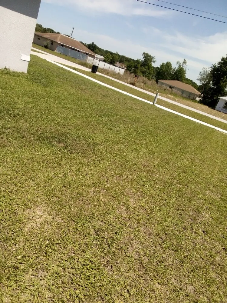 Expert lawn care service for outdoor upgrades in Ocala, FL by Jenkins Property Care