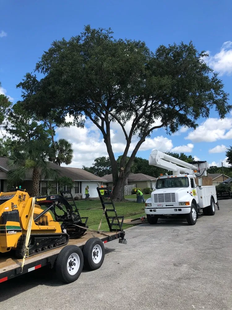 Reliable landscape installation in Palm Bay, FL by Jenkins Tree Service