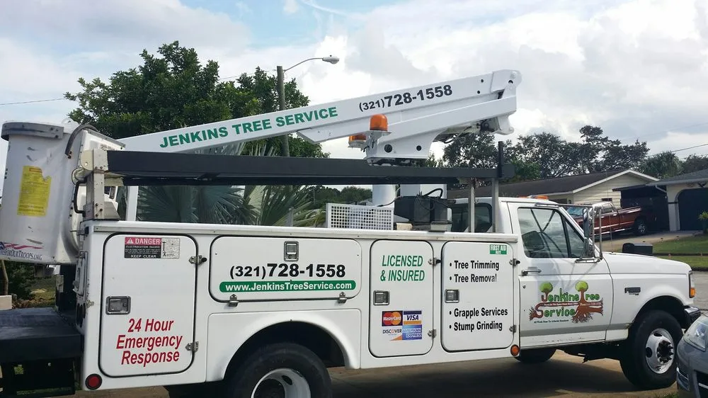 Local landscape installation for homes in Palm Bay, FL by Jenkins Tree Service