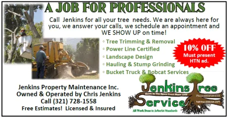 Professional yard maintenance experts serving Palm Bay, FL - Jenkins Tree Service