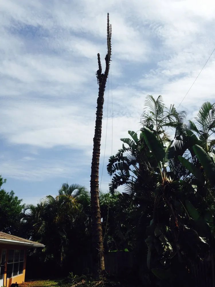 Custom lawn care service with custom design in Palm Bay, FL by Jenkins Tree Service