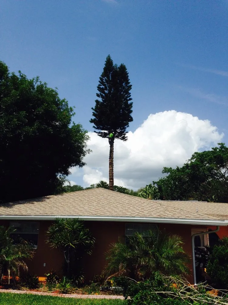 Top-rated residential landscaping experts serving Palm Bay, FL - Jenkins Tree Service