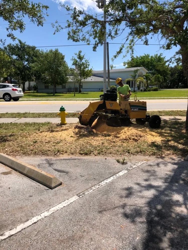 Expert garden landscaping for beautiful yards across Palm Bay, FL - Jenkins Tree Service