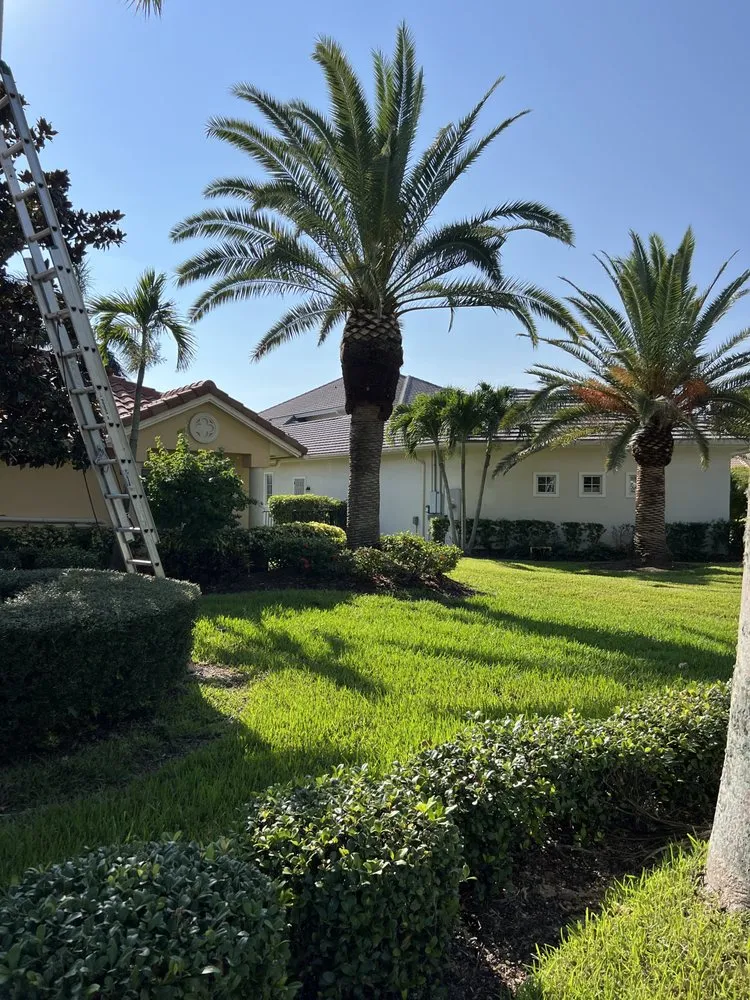 Expert lawn care service for outdoor upgrades in Palm Bay, FL by Jenkins Tree Service