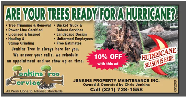 Top-rated yard maintenance for outdoor upgrades across Palm Bay, FL - Jenkins Tree Service