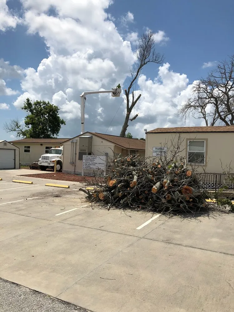 Affordable yard maintenance for homes in Palm Bay, FL by Jenkins Tree Service