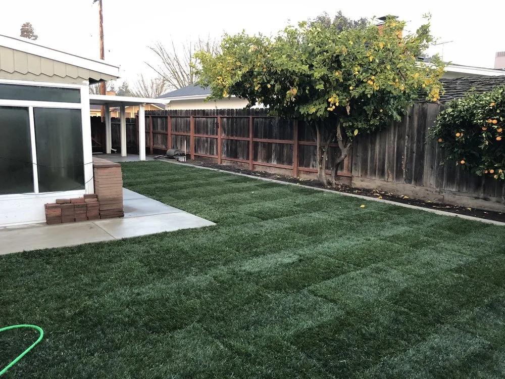 Reliable yard maintenance experts serving Ceres, CA - Jenkins Yard Care