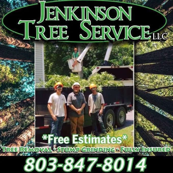 Reliable yard cleanup service in Summerton, SC by Jenkinson Tree Service