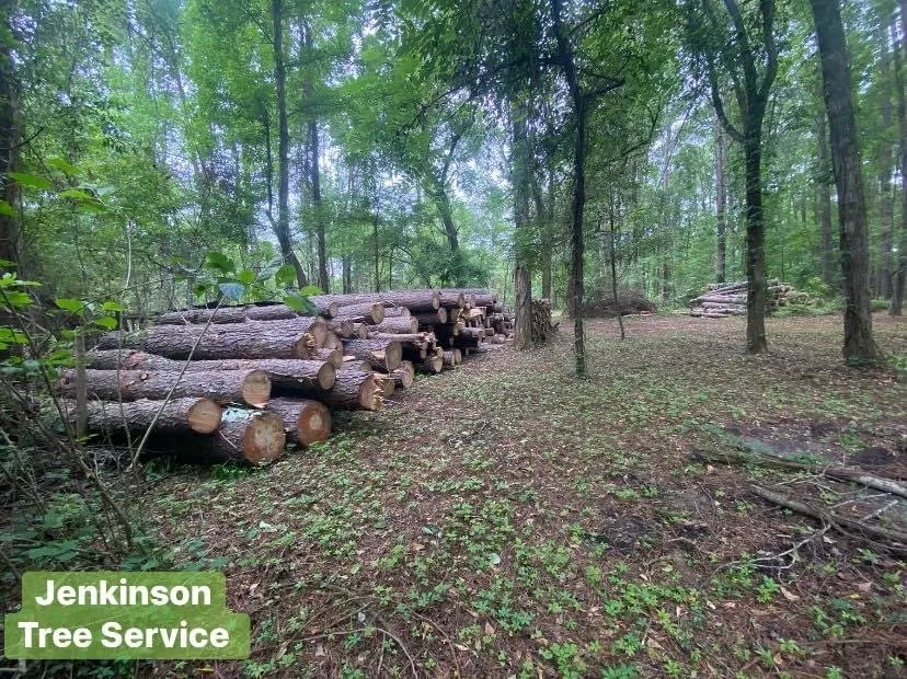 Reliable garden landscaping for outdoor upgrades across Summerton, SC - Jenkinson Tree Service