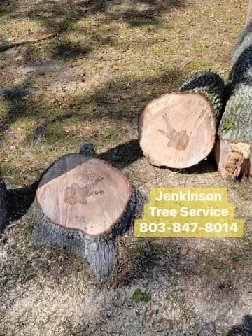 Trusted yard cleanup service in Summerton, SC by Jenkinson Tree Service