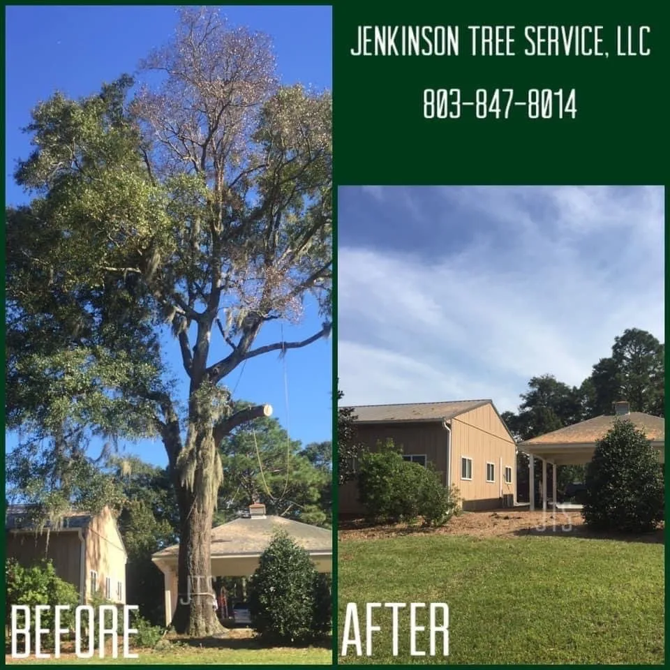 Reliable garden landscaping in Summerton, SC by Jenkinson Tree Service
