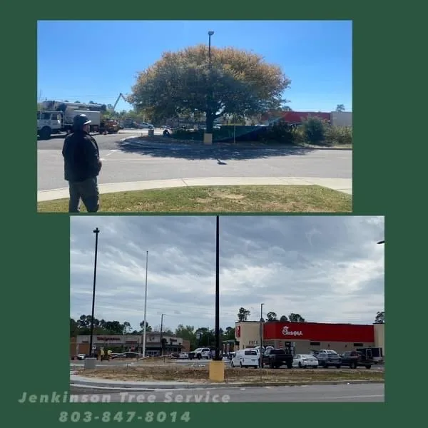Reliable lawn mowing service for homes in Summerton, SC by Jenkinson Tree Service