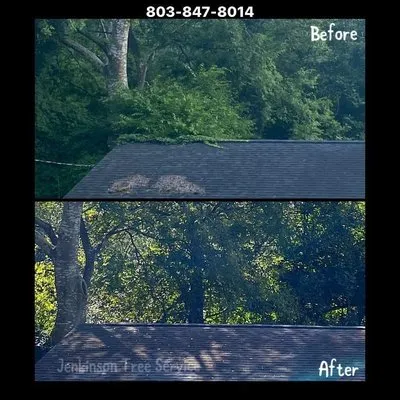Jenkinson Tree Service