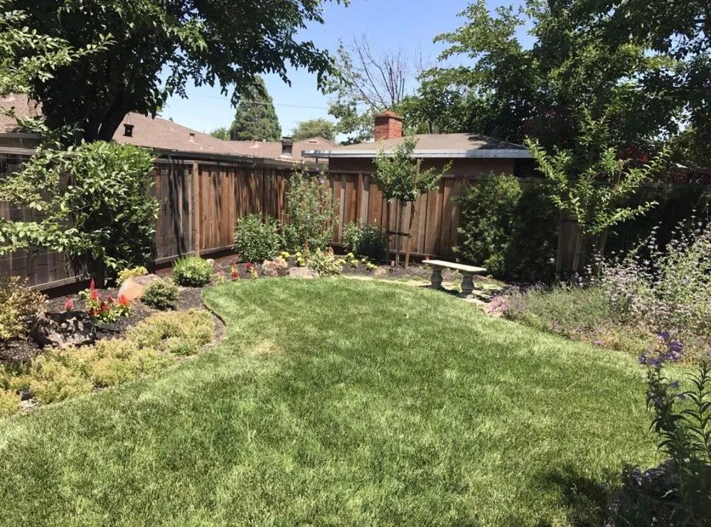 Trusted lawn mowing service experts serving Pleasanton, CA - Jennifer Craven Landscape Design