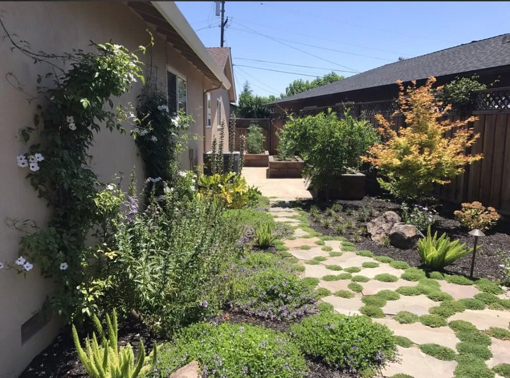 Top-rated lawn mowing service for year-round maintenance across Pleasanton, CA - Jennifer Craven Landscape Design