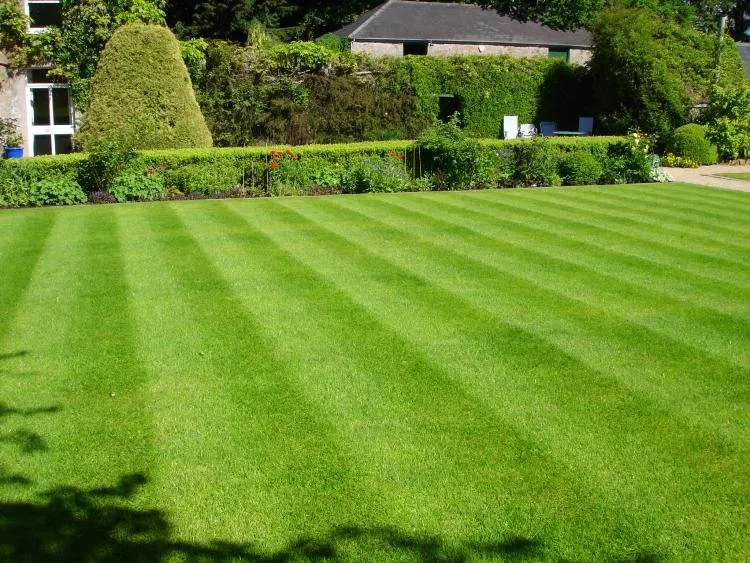 Reliable yard cleanup service for year-round maintenance in West Bend, WI by Jennifer James Landscape Management