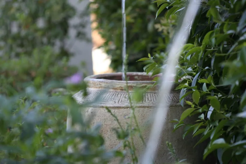 Expert lawn care service for residential properties in Livermore, CA by Jennifer Kate Landscapes