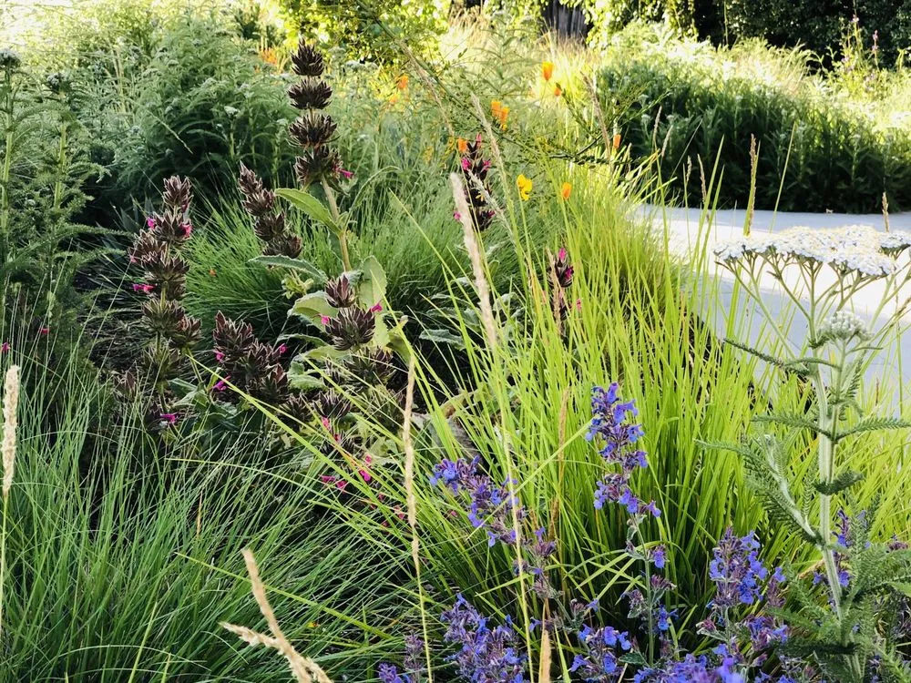 Trusted lawn care service for residential properties across Livermore, CA - Jennifer Kate Landscapes