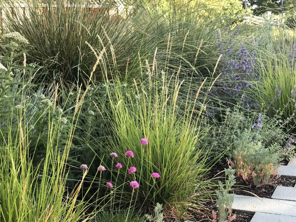 Affordable lawn mowing service experts serving Livermore, CA - Jennifer Kate Landscapes