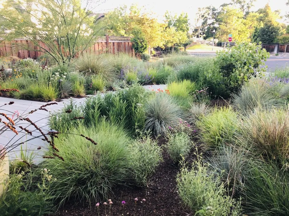 Professional landscape design experts serving Livermore, CA - Jennifer Kate Landscapes