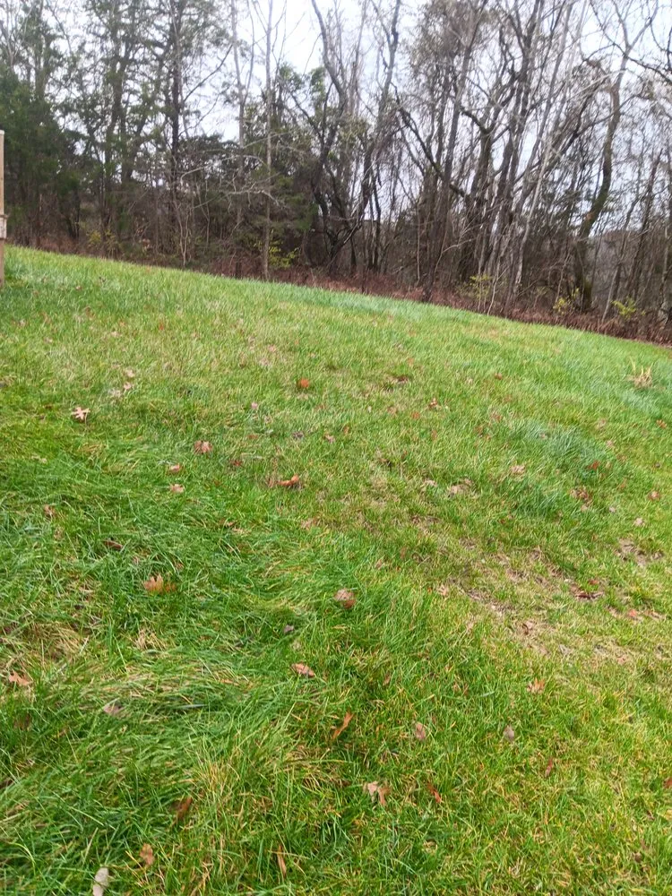 Affordable lawn mowing service in Nashville, TN by Jennifer's Lawn's