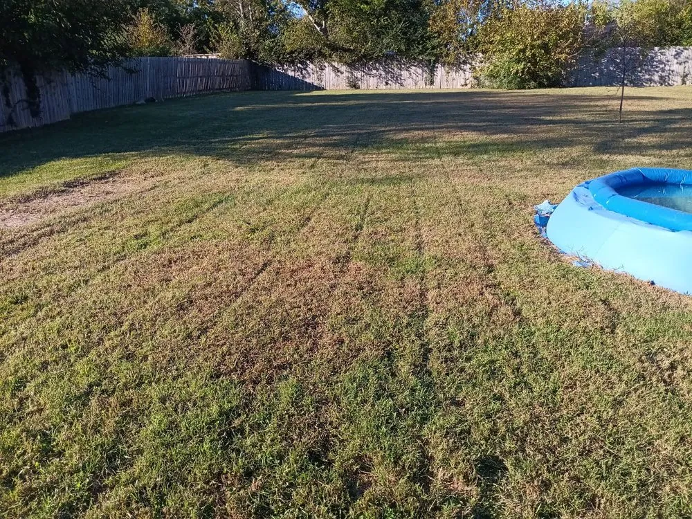 Top-rated lawn mowing service for homes across Nashville, TN - Jennifer's Lawn's