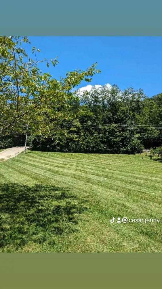 Affordable landscaping services experts serving Nashville, TN - Jennifer's Lawn's