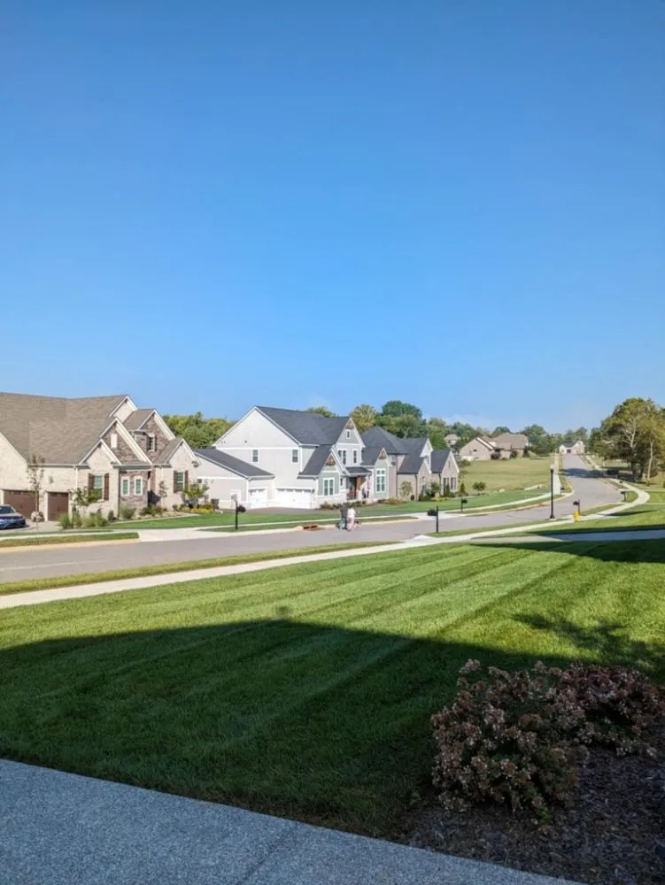 Expert yard maintenance experts serving Nashville, TN - Jennifer's Lawn's