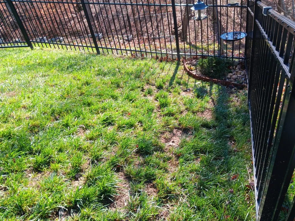 Affordable landscape design near you across Nashville, TN - Jennifer's Lawn's