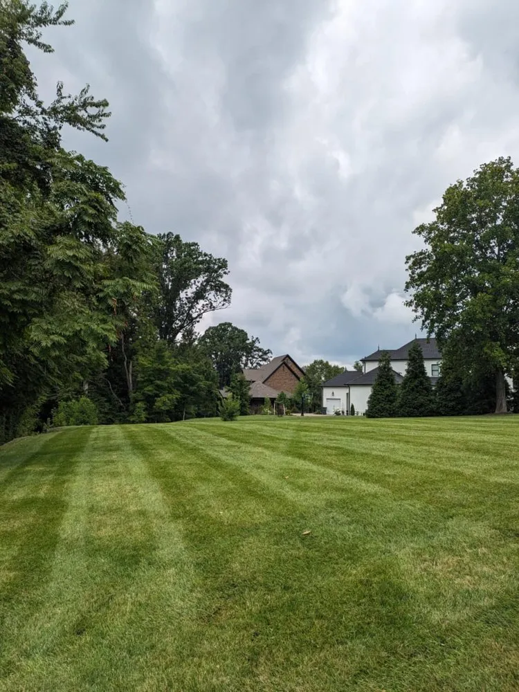 Professional landscaping services in Nashville, TN - Jennifer's Lawn's