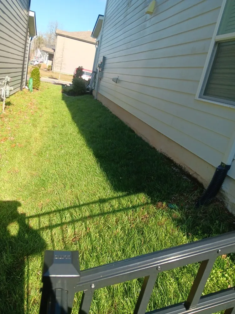 Top-rated yard cleanup service experts serving Nashville, TN - Jennifer's Lawn's
