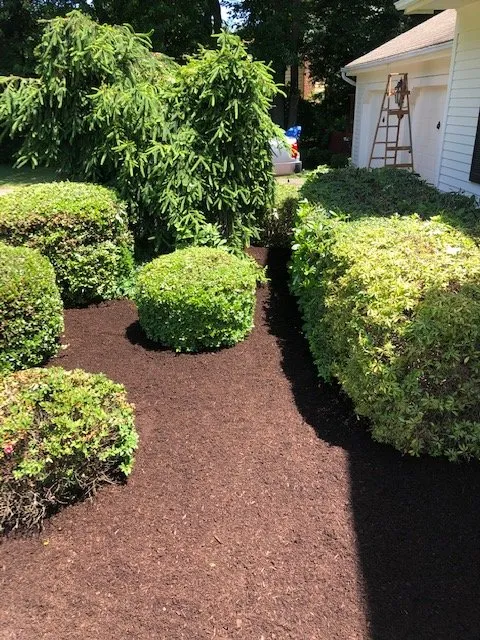 Local outdoor landscaping in Bridgeport, CT by Jennings Cleaning & Landscape