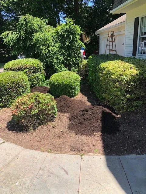 Expert landscape design for outdoor upgrades across Bridgeport, CT - Jennings Cleaning & Landscape