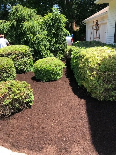 Reliable outdoor landscaping in Bridgeport, CT by Jennings Cleaning & Landscape
