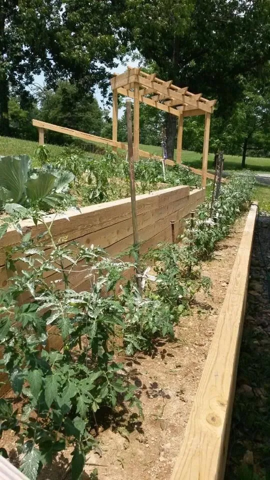 Custom yard cleanup service for year-round maintenance across Grafton, WV - Jennings Garden Center