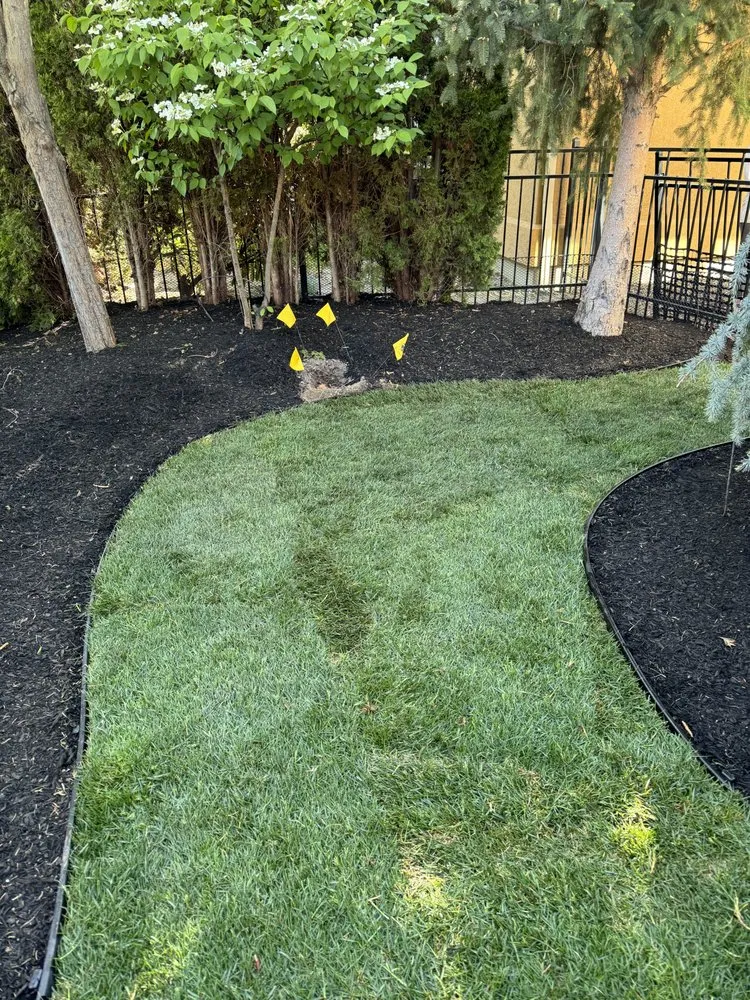 Professional yard maintenance for homes across Eagle, ID - Jennings Landscaping & Cleaning