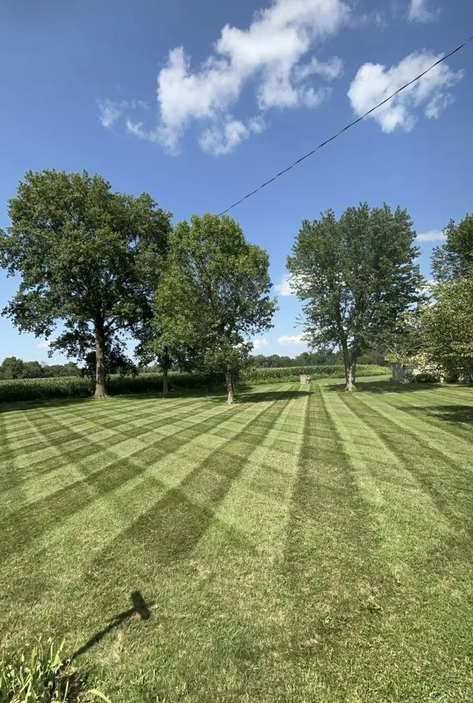 Expert yard cleanup service in Imperial, MO - Jennings Lawn Care