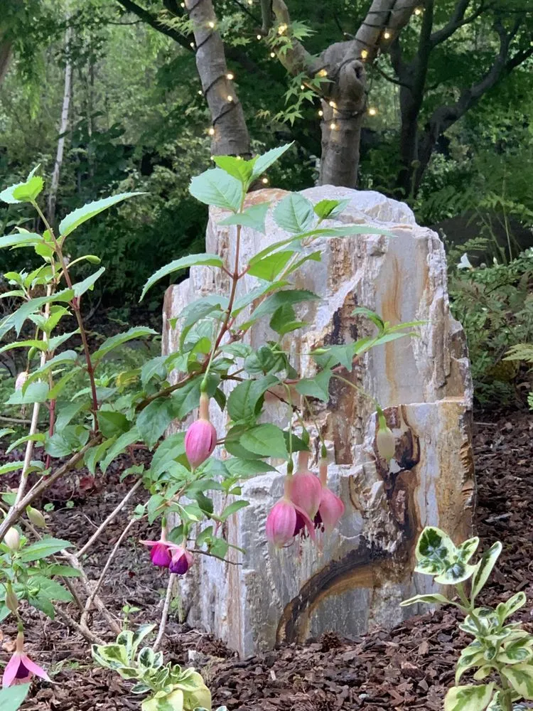 Affordable outdoor landscaping near you across San Carlos, CA - Jenn's Gardening