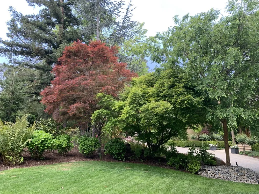 Reliable yard cleanup service for beautiful yards in San Carlos, CA by Jenn's Gardening