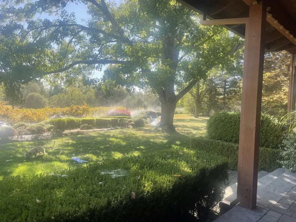 Local yard cleanup service in San Carlos, CA - Jenn's Gardening