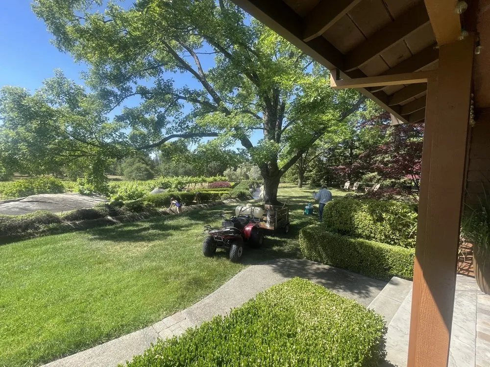 Professional yard cleanup service with custom design across San Carlos, CA - Jenn's Gardening