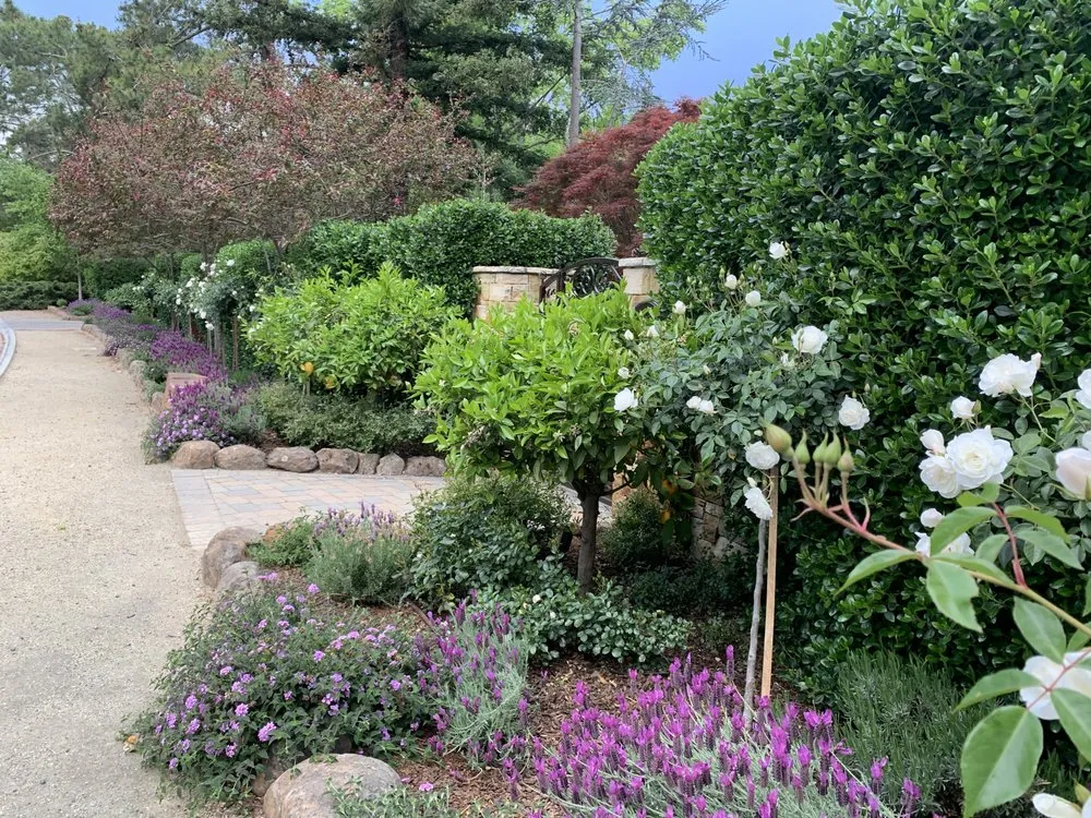 Affordable lawn care service near you across San Carlos, CA - Jenn's Gardening