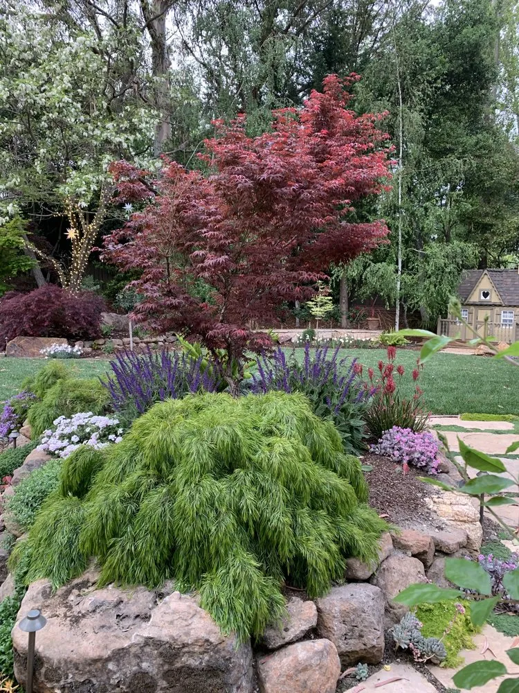 Expert yard maintenance for residential properties across San Carlos, CA - Jenn's Gardening